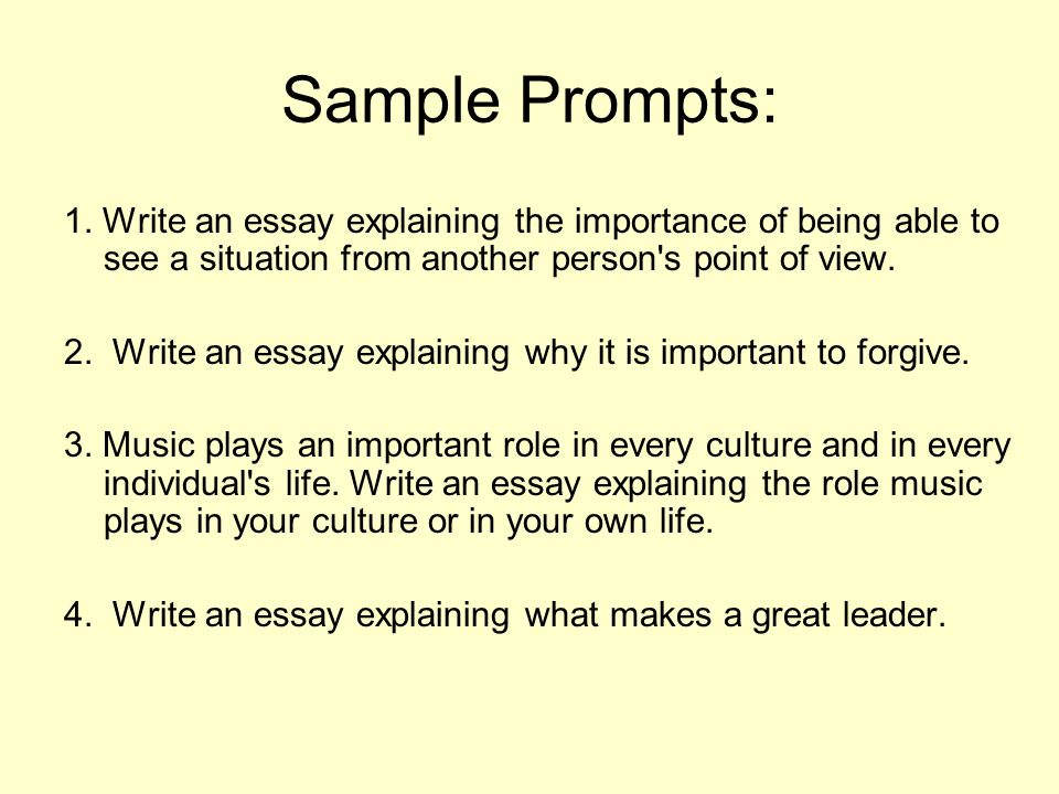Who is your role model in your life essay writing